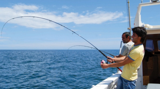 Dall'Algarve: battuta di pesca di 3 ore