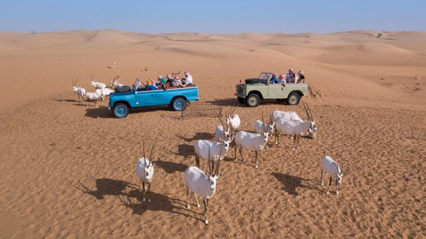 Dubai Heritage Land Rover Desert Safari with Traditional Dinner & Entertainment