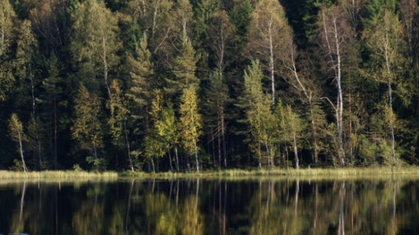 Parco di Sipoonkorpi: trekking sul sentiero dei Troll