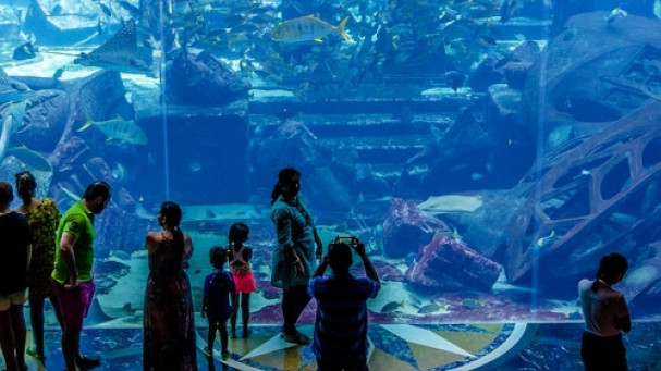 El acuario Lost Chambers