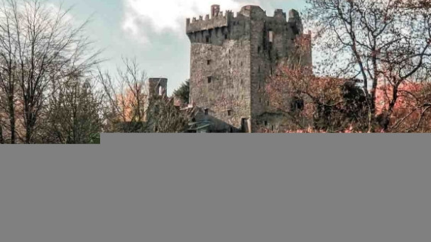 From Cork: County Cork Highlights Tour with Entrance Tickets