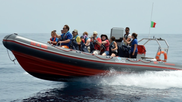 Grotta di Benagil e delfini: tour in barca da Albufeira