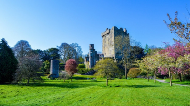 Dublin: Full-Day Tour to Cork, Cobh and Blarney Castle