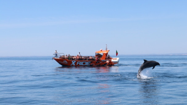 Albufeira: osservazione dei delfini e tour in barca al tramonto nella grotta di Benagil