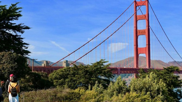 Shore Excursion: Half-Day San Francisco Grand City Tour