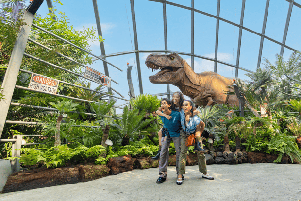 Singapore: Biglietto d'ingresso per il bundle dei Gardens by the Bay