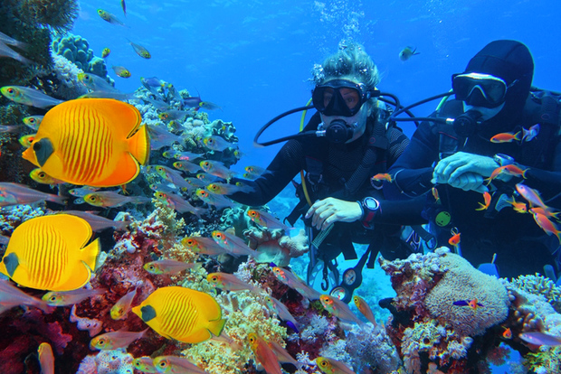 From Hurghada: Scuba Diving with Expert Guide & 2 Dives