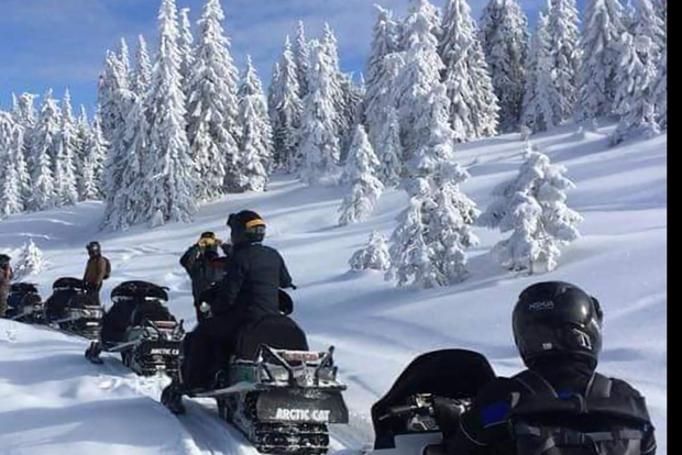 Bucarest: Tour d'avventura in motoslitta nei Carpazi