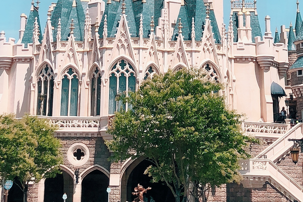 Tokyo: Trasferimento privato per Disneyland e DisneySea