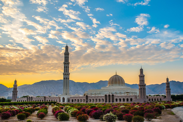 Muscat: Tour della città con trasferimenti opzionali