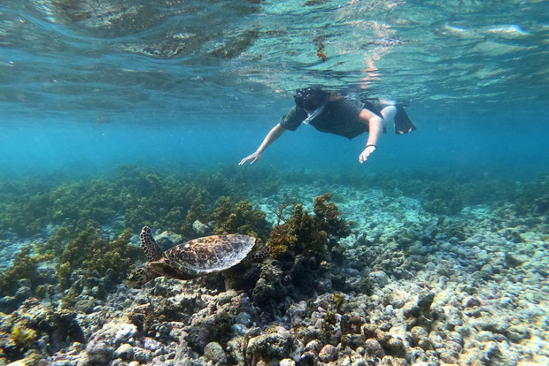Praslin: Coco Felicite e isola di La Digue - Escursione in barca di un'intera giornata