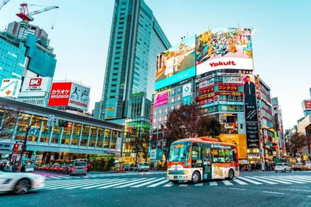 Tokyo: tour privato di lusso con autista parlante inglese