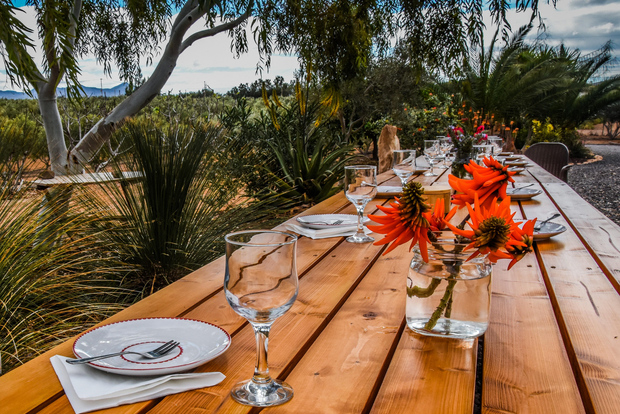 Fuerteventura: Guidad tur med tapas och lokalbefolkning