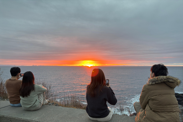 Svolvær: Tour guidato di un'intera giornata alle Isole Lofoten