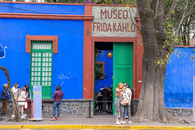 Città del Messico: biglietto per il Museo Frida Kahlo con guida digitale