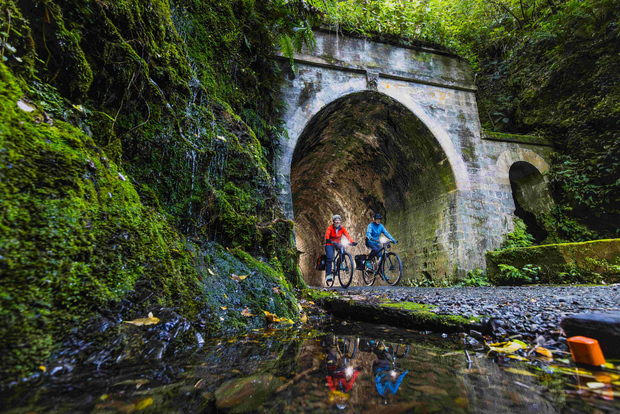 Wellington: tour in bici sul Remutaka Rail Trail