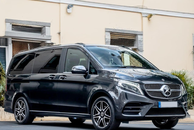 Amsterdam: trasferimento privato da/per l'aeroporto di Schiphol o la città