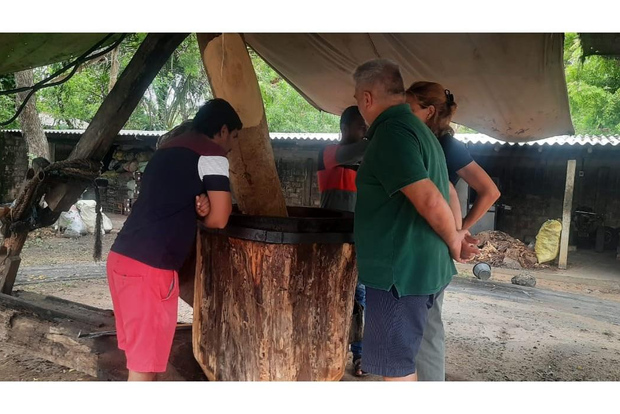 Scopri l'estrazione tradizionale dell'olio di sesamo a Jaffna