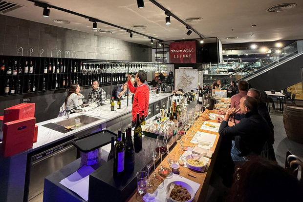 Turin city center: Piedmontese wine tasting