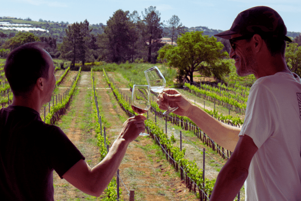 Da Albufeira: Tour di un giorno intero di degustazione di vini con una guida