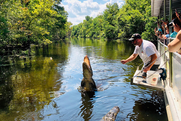 New Orleans: Swamp Boat Ride and Oak Alley Plantation Tour