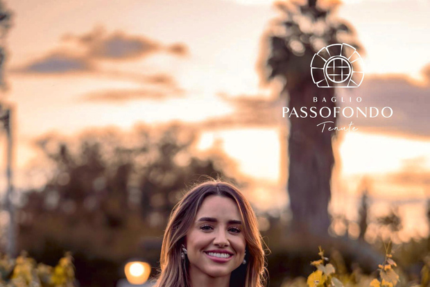 Walk through the vineyard and tasting