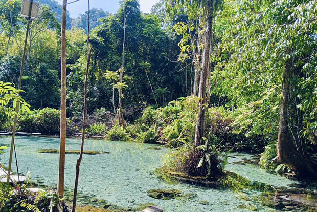 Gita di un giorno al lago Khao Sok con Emerald Pool