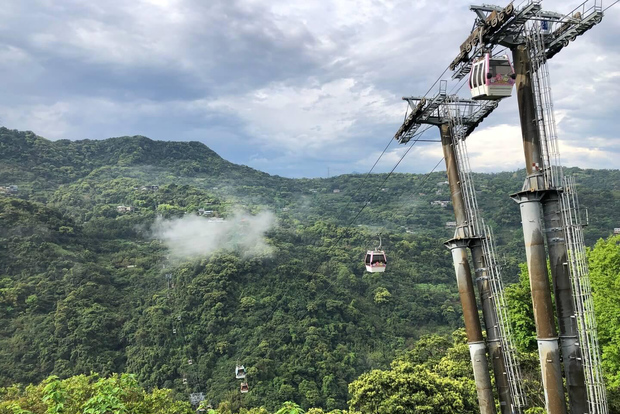Desde Taipei: Visita guiada de un día a la Cultura del Té de Pinglin y Maokong