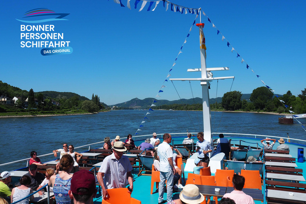 Da Bonn: giro turistico in battello dal fiume Reno a Linz