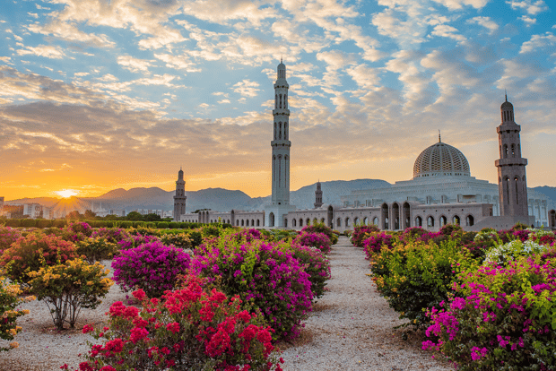 Muscat: Budget Friendly City Tour