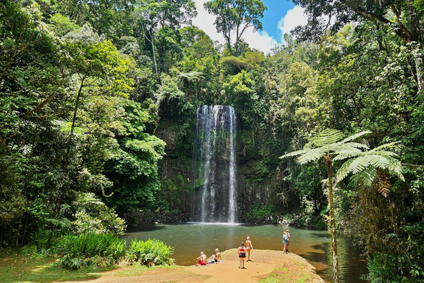 Cairns: Paronella, Lake Barrine och Millaa Millaa Falls Tour