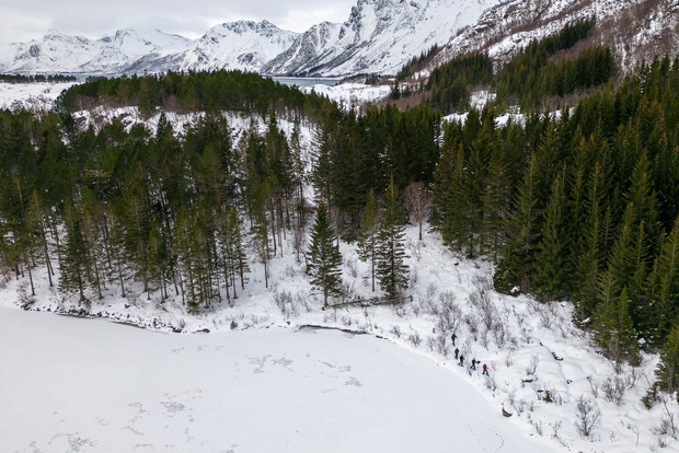 Isole Lofoten: Tour guidato con le racchette da neve - Versione facile