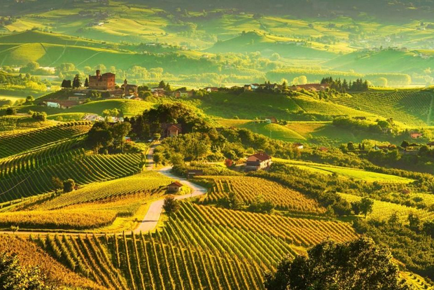 Ganztagestour durch die Region Langhe mit Weinverkostung