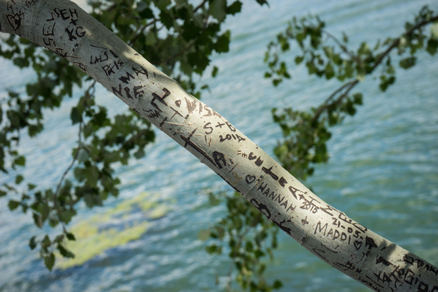 Tour per piccoli gruppi a Parigi: Ile de la Cité e Ile Saint-Louis
