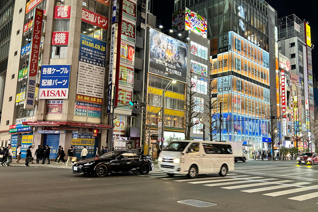 Tokyo: Akihabara, Shibuya, Karaoke e Tour serale delle luci della città