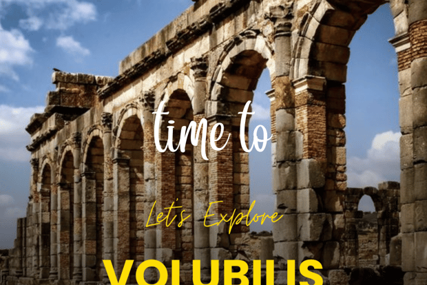 Da Fez: Escursione di una giornata intera a Volubilis Moulay Idriss e Meknes