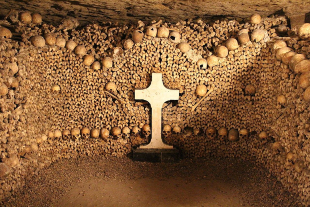 Parigi: ingresso alle catacombe e crociera sulla Senna con audioguida