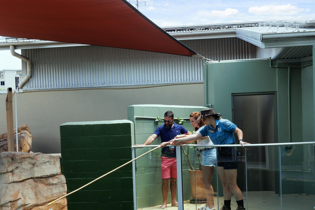 Darwin: esperienza VIP Crocosaurus Cove