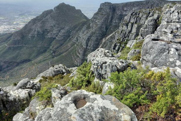 Table Moutain & Cape Peninsula: Full-day Tour