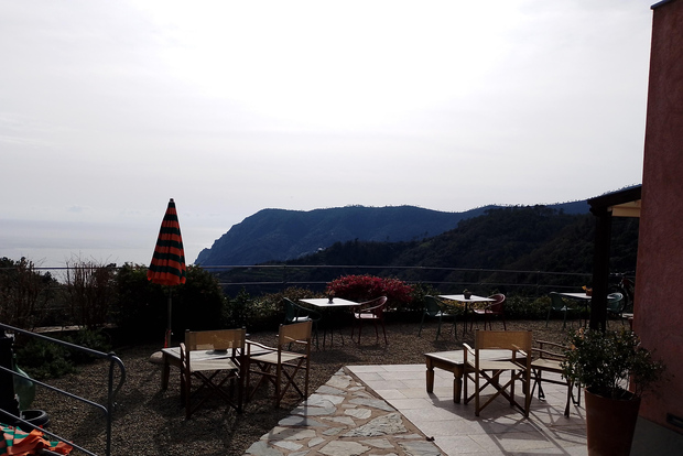 Farmhouse aperitif + electric bike tour in Monterosso al Mare