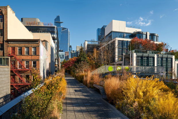 NYC: Tour di Hudson Yards e High Line con biglietto Edge opzionale