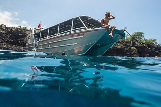 Isola Grande: Baia di Kealakekua, tour del Capitano Cook e della fauna marina