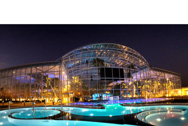 Bucarest: Therme (trasferimento + biglietto Galaxy+Palm da 4,5 ore)