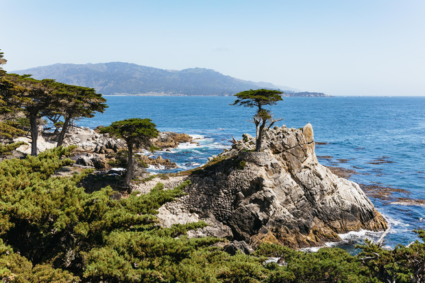 Da San Francisco: Tour di un giorno a Monterey e Carmel