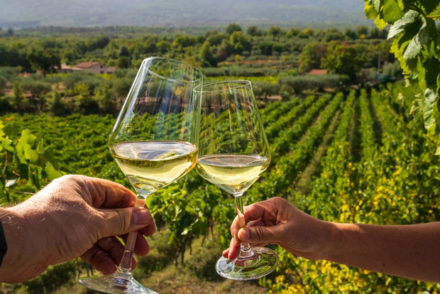 Da Atene: tour privato delle strade del vino con degustazione di vini