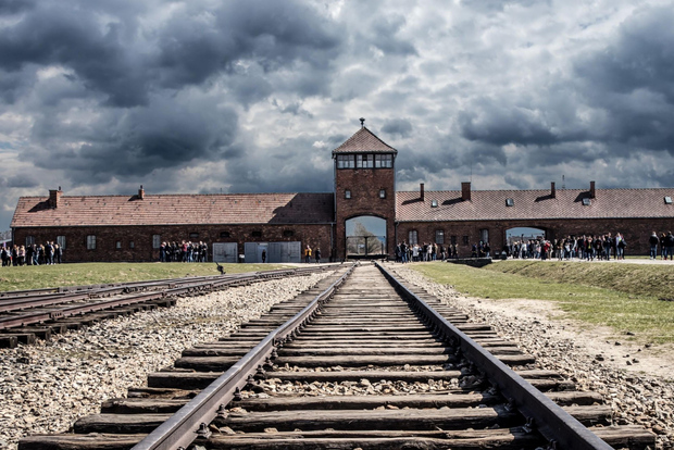 Da Cracovia: Tour privato del memoriale di Auschwitz-Birkenau