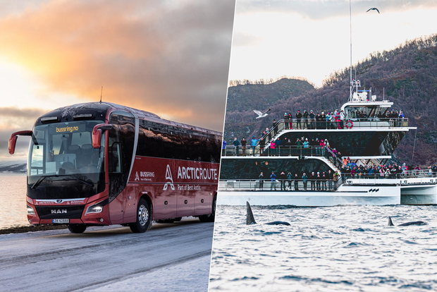 Tromsø: Osservazione delle balene su un'imbarcazione ibrida con un giro panoramico