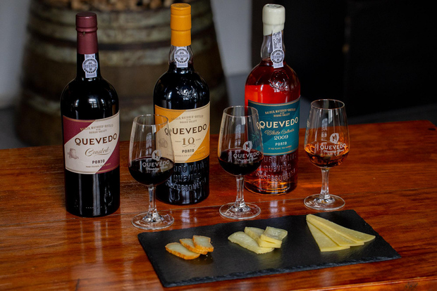 Vila Nova de Gaia: Port Wine Tasting with Cheese Pairing