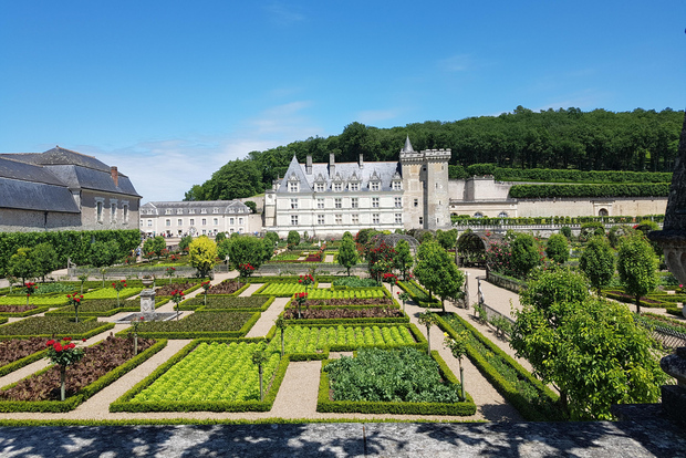 Da Tours: Villandry, Azay-le-Rideau e Cantina di Vouvray