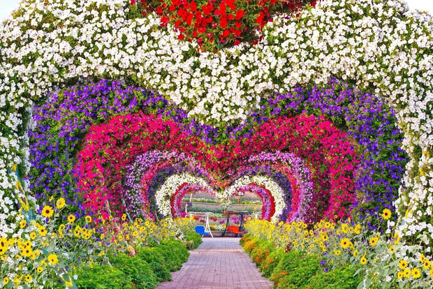 Tour del Miracle Garden e del Global Village: scegli la tua opzione